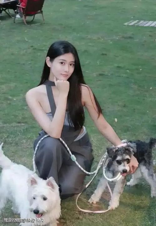 10195.jpg